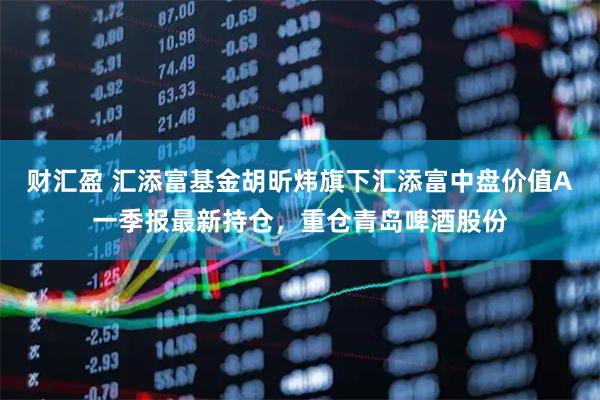 财汇盈 汇添富基金胡昕炜旗下汇添富中盘价值A一季报最新持仓，重仓青岛啤酒股份