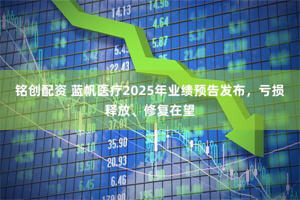 铭创配资 蓝帆医疗2025年业绩预告发布，亏损释放、修复在望